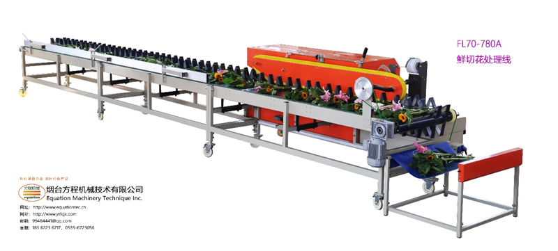 鲜切花机械化加工处理解决方案